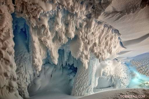 Scientists Discover Warm Antarctic Caves Harboring Hidden Ecosystems
