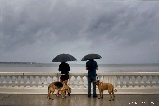 Tampa Bay Identified as Highest Risk Zone for Hurricanes