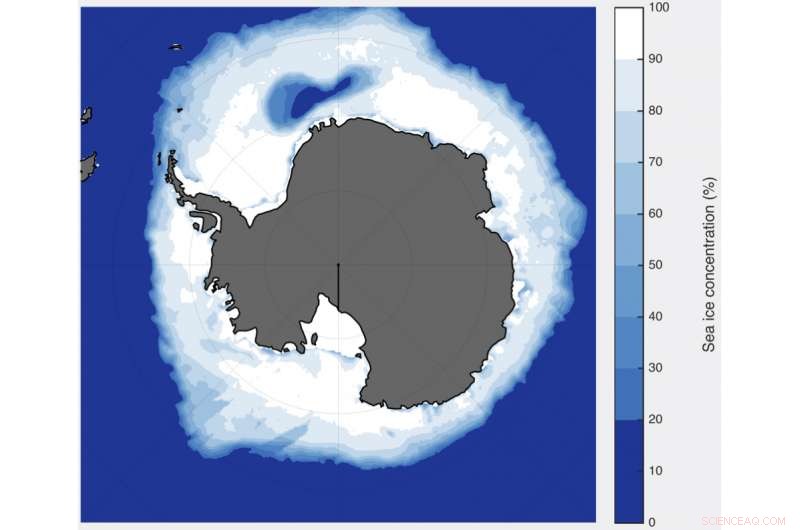 Antarctic Sea Ice Openings: Global Climate Impact