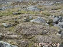 Cold Regions Face Inevitable Tipping Point Amid Climate Change