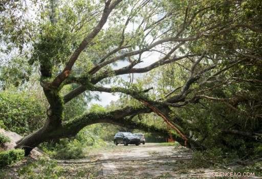 Why Hurricane Irma’s Impact on Florida Was Less Catastrophic Than Anticipated