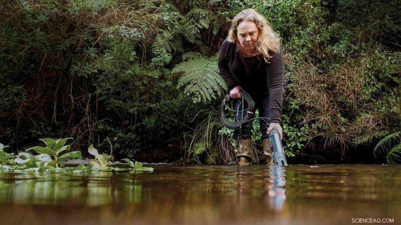 Innovative Tool Helps New Zealand Farmers Reduce Nutrient Runoff and Protect Water Quality