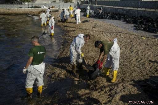 Greek Government Criticized for Ineffective Oil Spill Response, Environmental Groups Raise Concerns