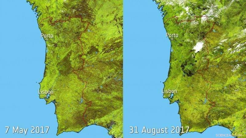 Portugal s Wildfire Scars: Satellite Insight