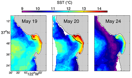Using UAVs to Detect Subsea Environmental Changes