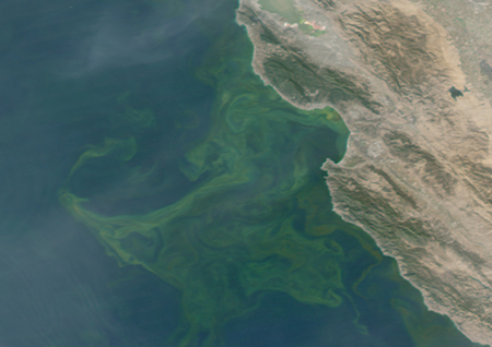 Using UAVs to Detect Subsea Environmental Changes