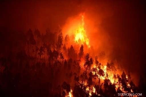 Portugal Aims to Rebuild After Its Deadliest Fire