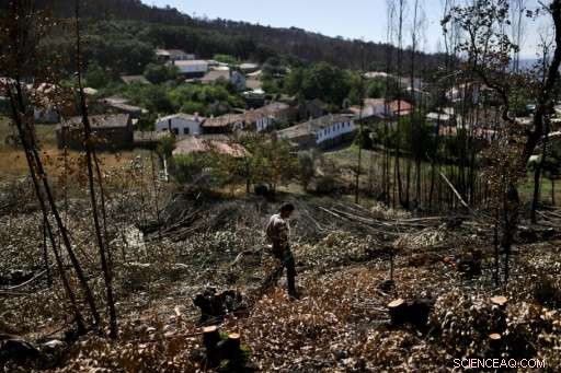 Portugal Aims to Rebuild After Its Deadliest Fire