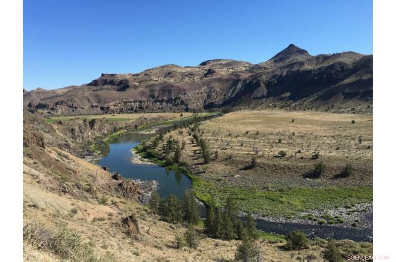 How Climate Change Threatens Global Fish Populations