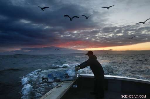 Extended Summers Off New England Signal Rapid Gulf of Maine Warming