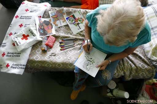 Florida Recovery Accelerates, Yet Risks Persist