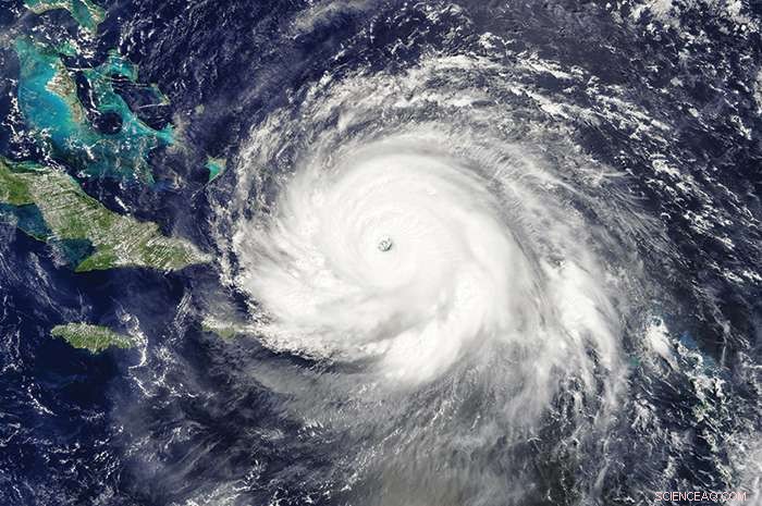 Scientists Build Resilience Amid Turbulent Waters