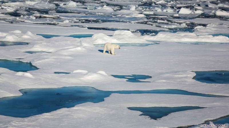 Arctic Sea Ice Declines Significantly in September, Highlighting Ongoing Melting Trends