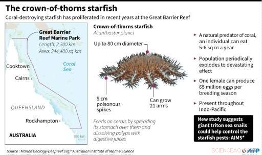 Giant Sea Snail Initiative Aims to Restore the Great Barrier Reef