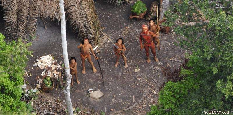 Opinion: Brazil Must Safeguard the Last Uncontacted Indigenous Tribes in the Amazon
