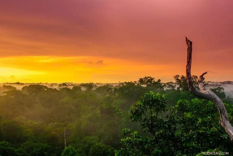 Opinion: Brazil Must Safeguard the Last Uncontacted Indigenous Tribes in the Amazon