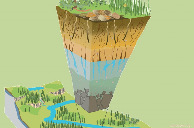 Subtle Shifts in Moderate Rainfall Can Drive Significant Environmental Impacts
