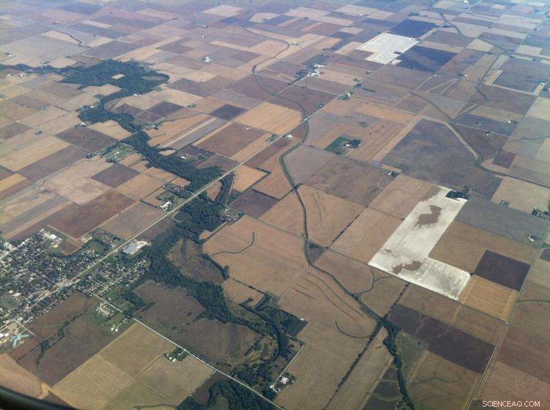 Subtle Shifts in Moderate Rainfall Can Drive Significant Environmental Impacts