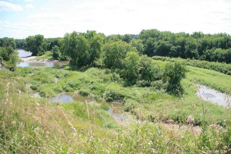 Subtle Shifts in Moderate Rainfall Can Drive Significant Environmental Impacts