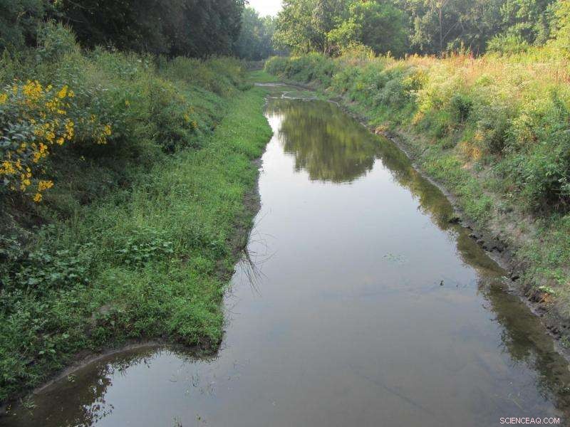 Subtle Shifts in Moderate Rainfall Can Drive Significant Environmental Impacts