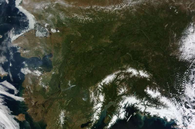 Diversifying Fish Harvest Boosts Fisher Income Stability