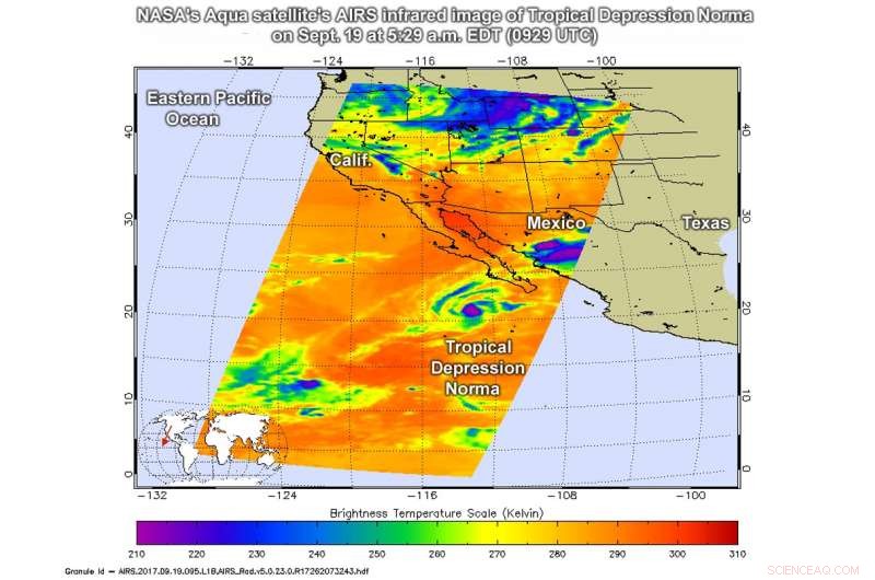 NASA Detects Small Strength Zone in Tropical Depression Norma