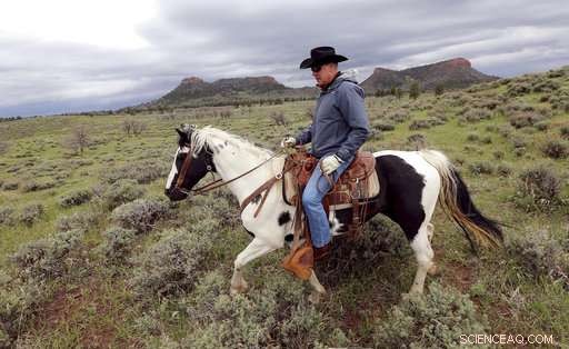 Interior Secretary Proposes Shrinking Four National Monuments Amid Conservation Debate