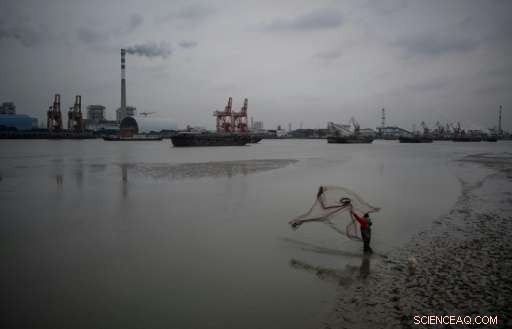 New Study Reveals Global Carbon Budget Is Four Times Larger Than Previously Estimated