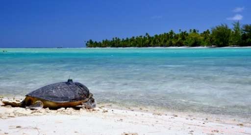 Marlon Brando’s Tahitian Paradise: Pioneering Sustainable Eco‑Luxury