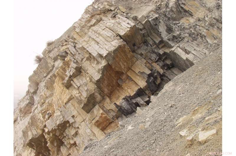 By 2100, Ocean Carbon Levels Could Trigger a Sixth Mass Extinction, New Mathematical Model Shows