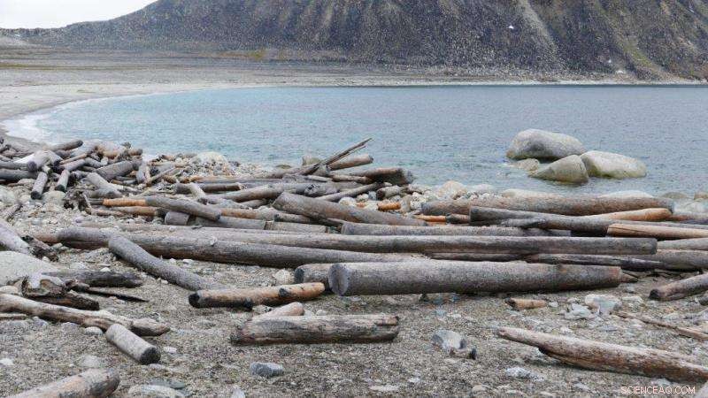 Driftwood Tracking Reveals Arctic Ocean History