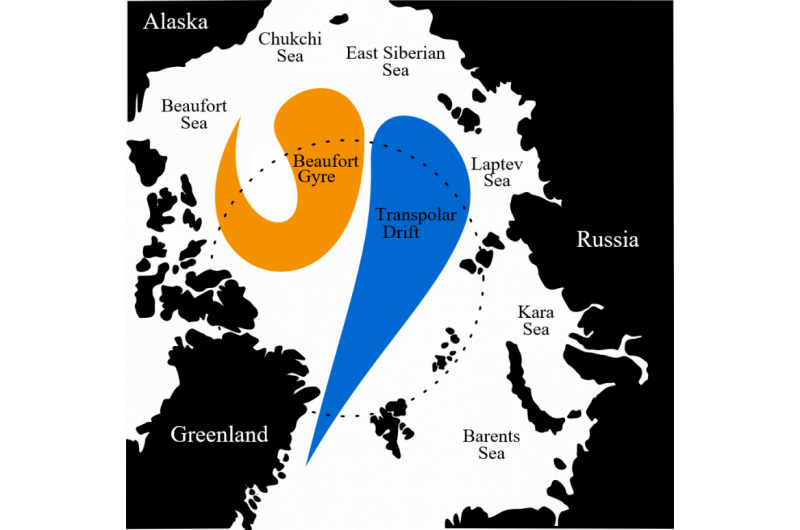 Driftwood Tracking Reveals Arctic Ocean History