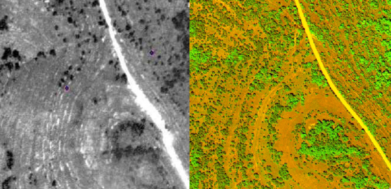 Ozark Grasslands Witness Dramatic Increase in Tree and Shrub Cover