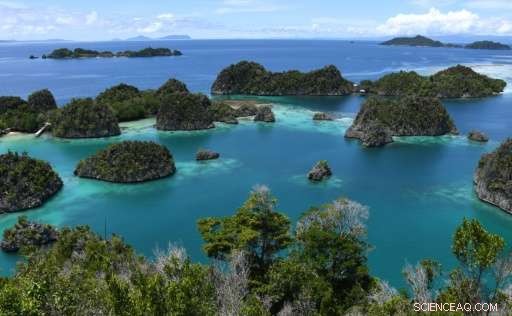 Indonesia’s Tourism Boom: The Hidden Toll on Communities and the Environment