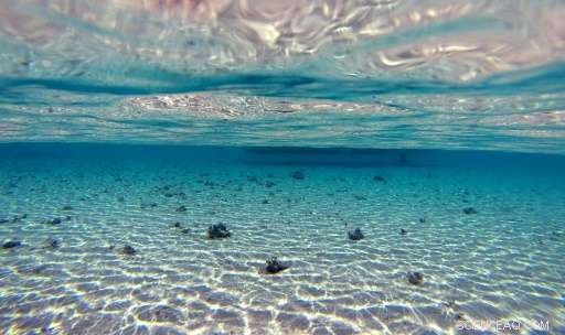 Indonesia’s Tourism Boom: The Hidden Toll on Communities and the Environment