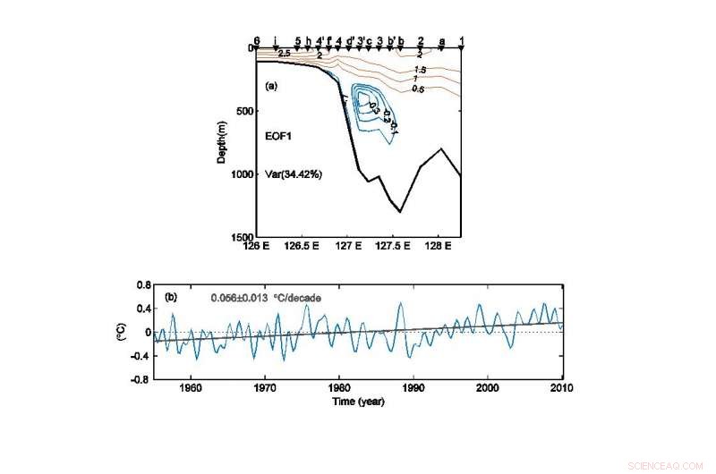 Decoding the Complex Dynamics of SST Warming in the Yellow Sea and East China Sea