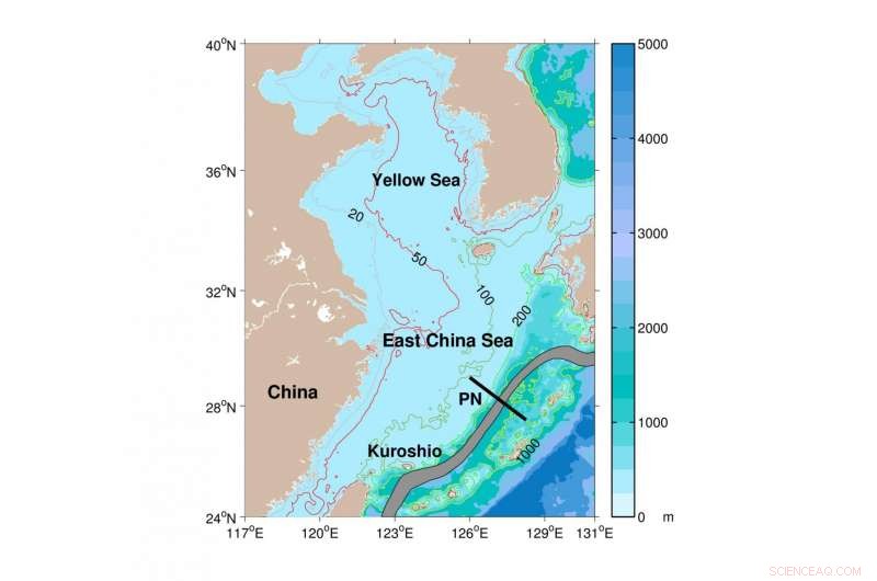 Decoding the Complex Dynamics of SST Warming in the Yellow Sea and East China Sea
