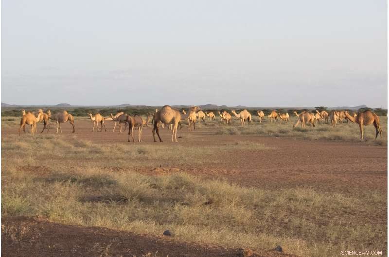 Climate Insurance in Agriculture: Why It Often Falls Short