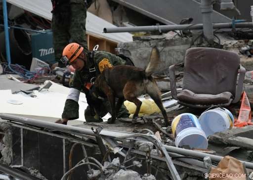 Mexico City Endures New Earthquake, Rescue Operations Temporarily Halted