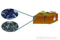 UK Scientists Urge Deeper Study of Human Impact on Seabed