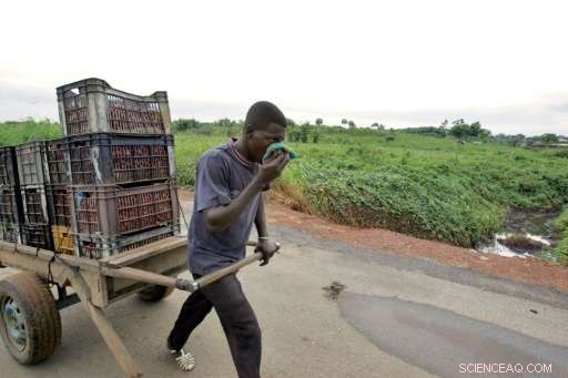 Dutch Court Set to Hear New Case Over 2006 Ivory Coast Chemical Spill