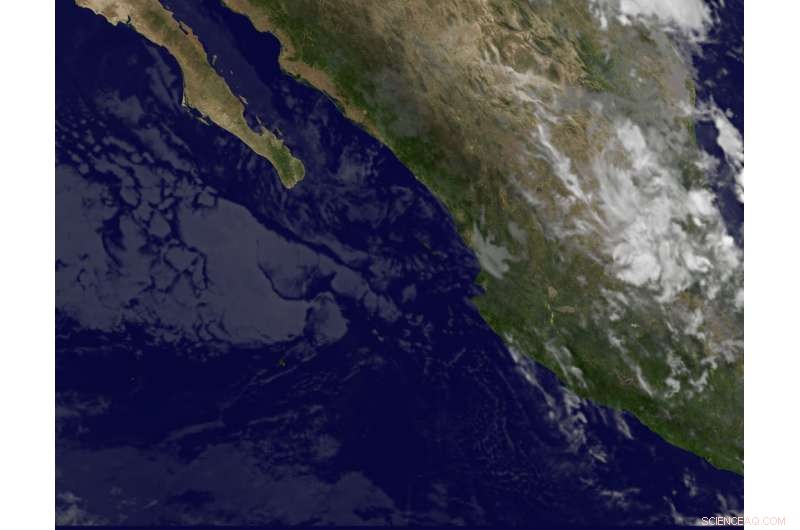 Satellite Imaging Confirms Tropical Storm Pilar Has Weakened to Remnants