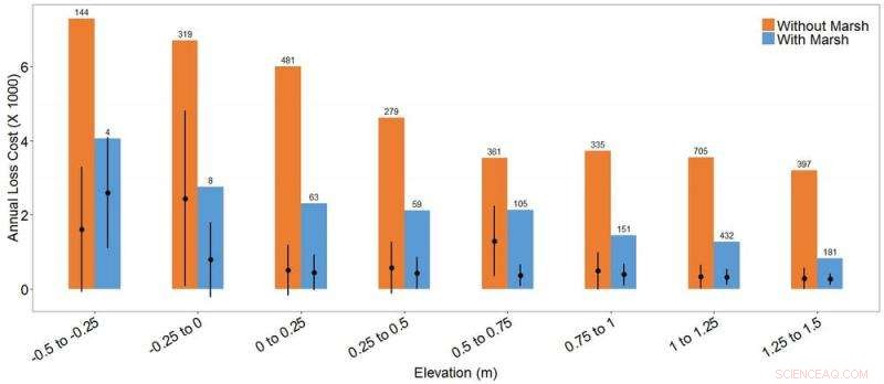 Wetlands Proven to Cut Property Damage in Hurricane Recovery Efforts