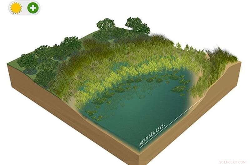 Wetlands Proven to Cut Property Damage in Hurricane Recovery Efforts