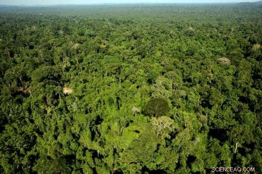 Brazil Cancels Proposal to Allow Mining in Amazon Reserve