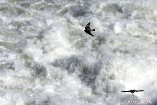 US and Mexico Strengthen Colorado River Management Pact