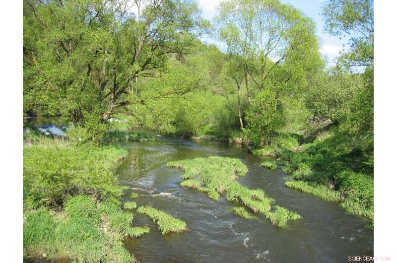 Floodplain Conservation: A Key to Effective Flood Protection