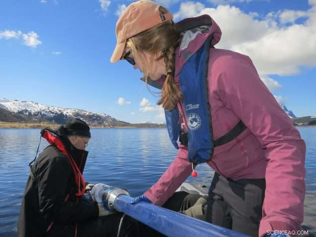 Climate Change Lessons from the Vikings: Insights for Modern Adaptation