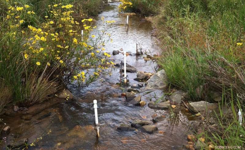 Eliminating Nitrate Pollution: A Path to Healthier Ecosystems