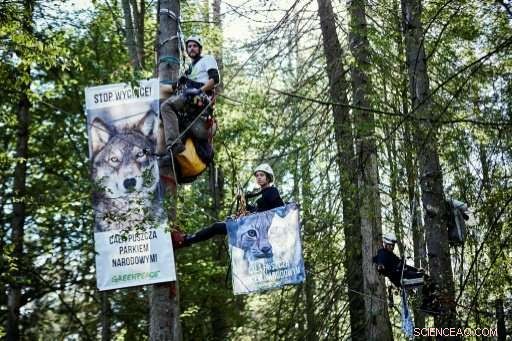 Poland Rejects EU Evidence in Bialowieza Forest Dispute